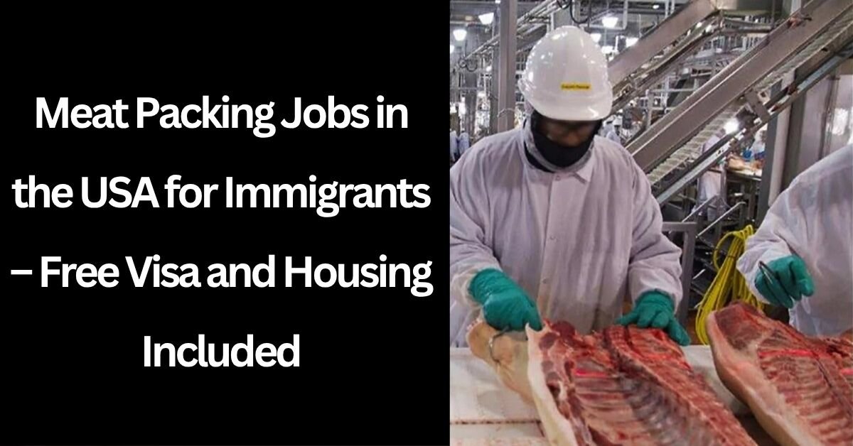 Parking Lot Attendant Jobs in the USA for Foreign Workers – Visa Sponsored (8)